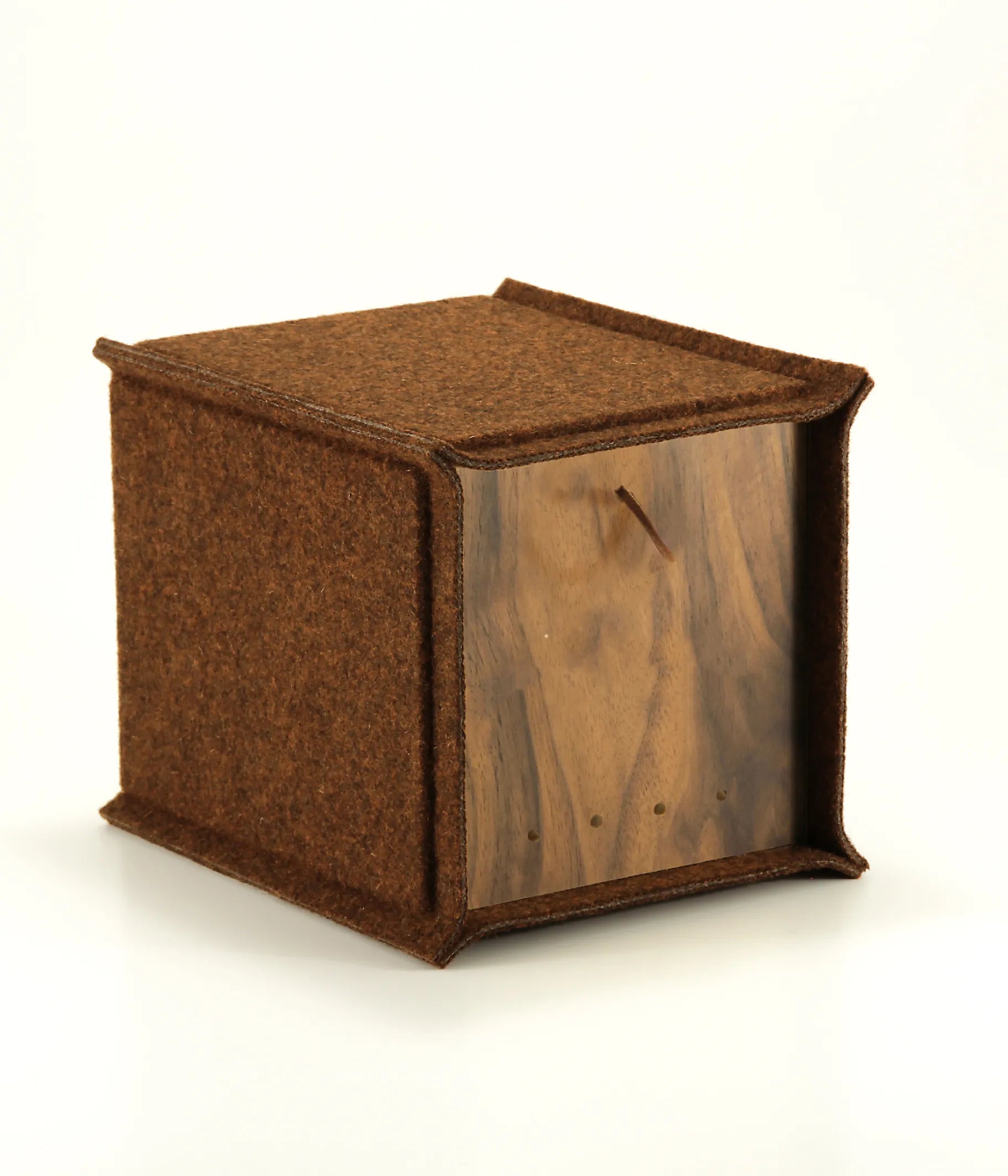 Burel House Nogueira