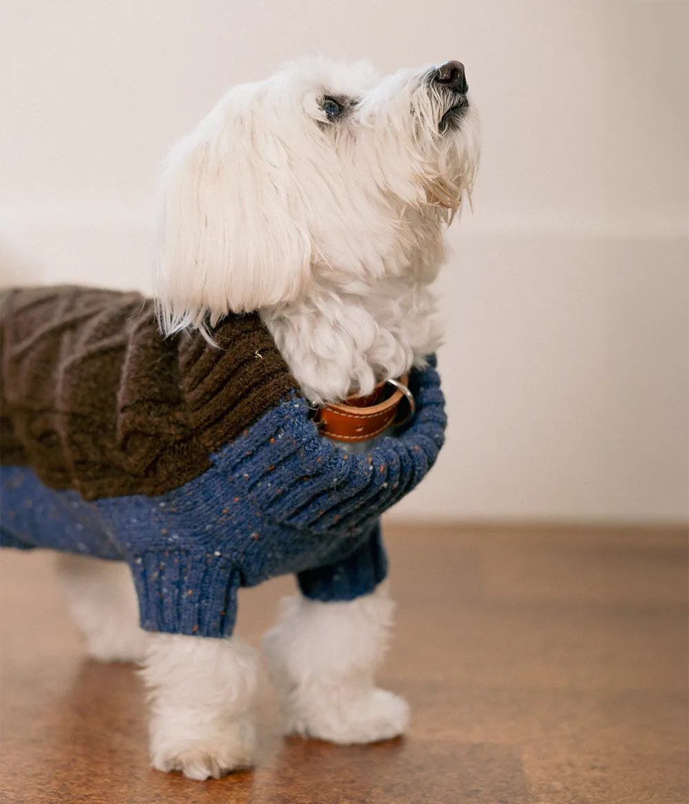 Camisola Pet Bicolor